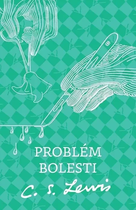 Problém bolesti