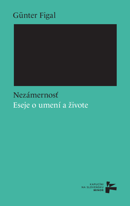 Nezámernosť